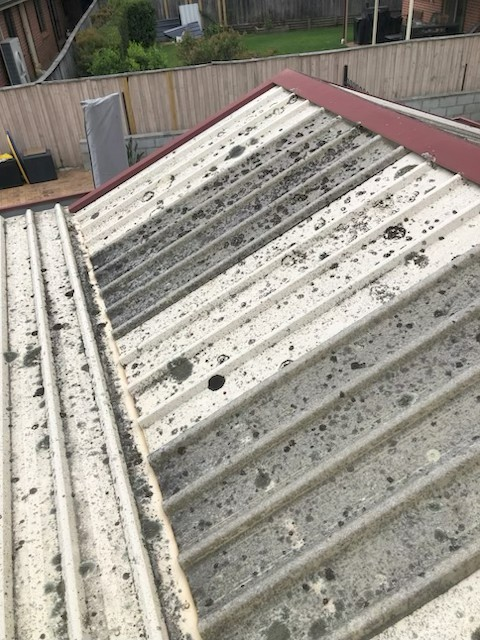 Soft Washing using K4
